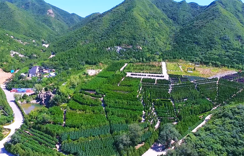 北京十三陵景仰园怎么样?(图1) 微信图片_20211024110929.png