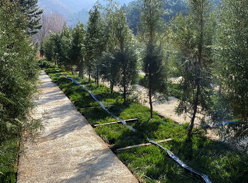 永宁陵园树葬使用年限多久?(图1) 永宁陵园树葬使用年限多久?