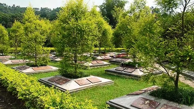 十三陵景仰园陵园树葬怎么样