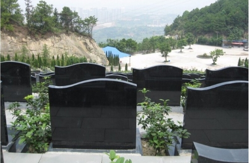 金山陵园24小时服务热线：400-166-8919