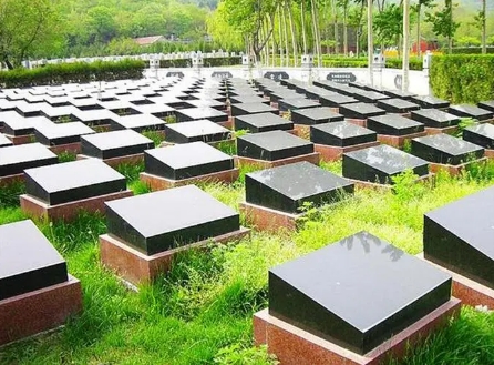 长青园骨灰林墓地价格多少钱？