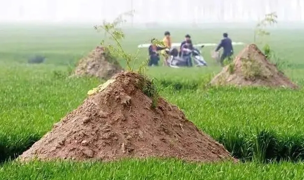 农村死亡证明怎么开
