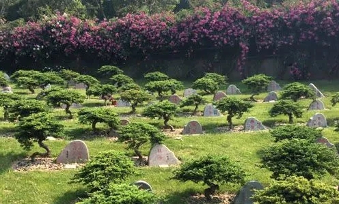 皇家龙山陵园有树葬吗