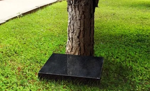 树葬还需要后续交费吗