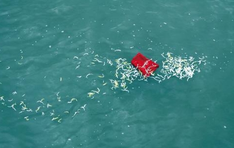 骨灰海撒如何办理手续？费用多少