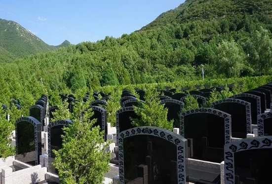 景仰园陵园墓地价格多少钱？