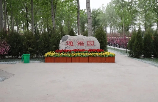 通福园公墓合法吗