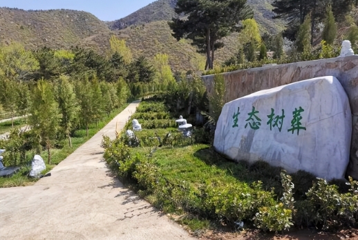北京自然葬需要多少钱