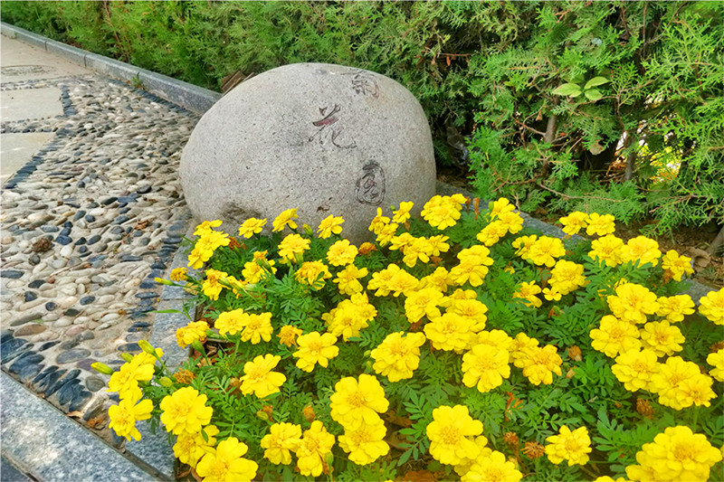 陵园环境